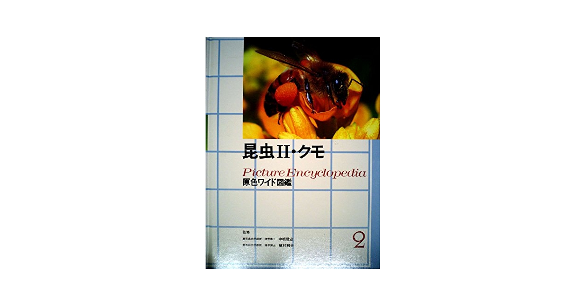 昆虫2・クモ (原色ワイド図鑑) Amazon.co.jp: 昆虫2・クモ (原色ワイド図鑑 昆虫) : 中根猛彦